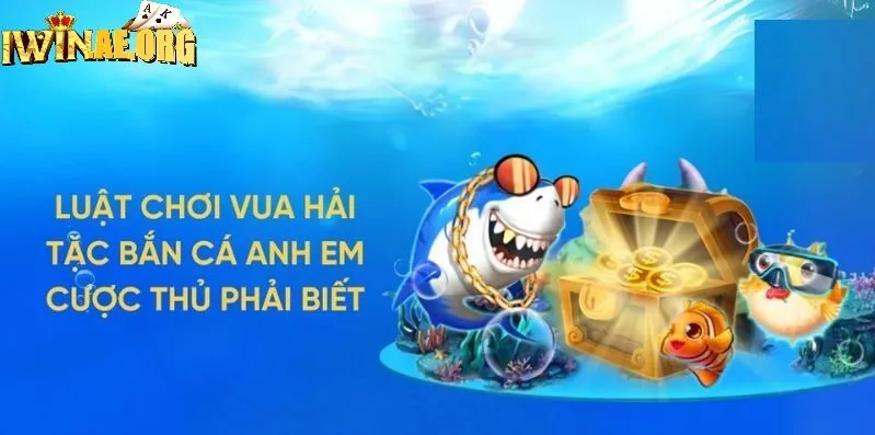 Tại sao nên chọn Bắn Cá Vua Hải Tặc Iwin mà không phải game khác?